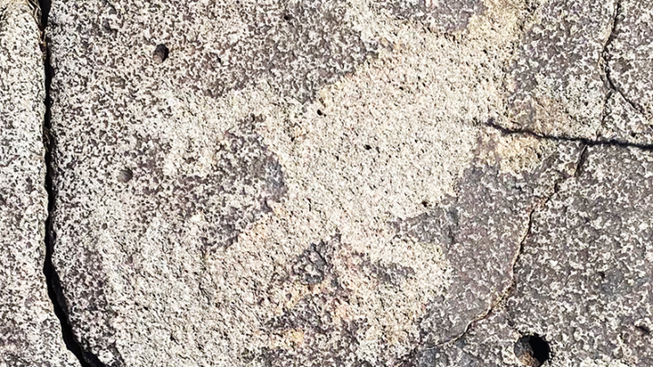 Agua Fria Petroglyph