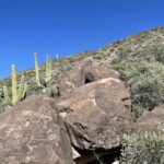 Cave Creek Petroglyph