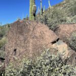 Cave Creek Petroglyph