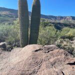 Cave Creek Petroglyph
