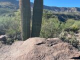 Cave Creek Petroglyph
