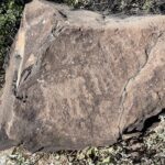 Cave Creek Petroglyph