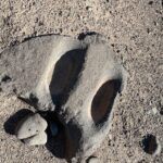 Cave Creek Metate