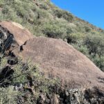Cave Creek Petroglyph