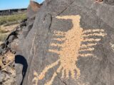 Gila Bend Petroglyph