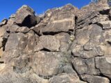 Agua Fria Petroglyph